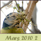 Mars 2010 -2-